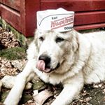 Profile Picture of jason rhyne (@trinity_mavax) on Instagram