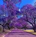 Profile Picture of Yolanda Cortes (@yolanda.cortes.7771586) on Facebook