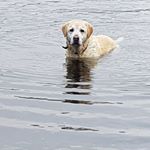 Profile Picture of Paul Bricknell (@p.bricknell) on Instagram