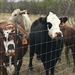 Profile Picture of Michael Cackler (@michael_cackler) on Instagram