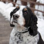 Profile Picture of Dustin Sprague (@deez_sprague) on Instagram