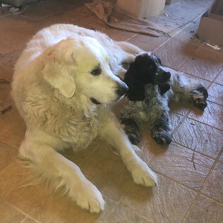 Profile Picture of cecilekuhny (@cecilekuhny) on Tiktok