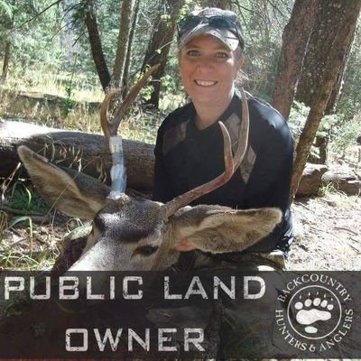 Profile Photo of Kelly Hampton (@khampton911) on Twitter