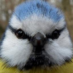 Profile Picture of Matt Gaston (@kastagir) on Twitter