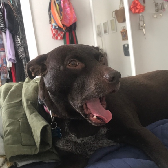 Profile Picture of Laurel Fruehling (@lfruehling317) on Poshmark