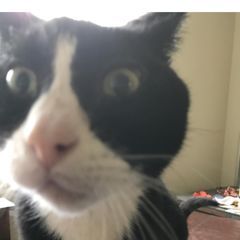 Profile Picture of jeffreydukes1 (@jeffreydukes1) on Tiktok