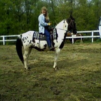 Profile Picture of Connie Abbott (@funhorseshows) on Twitter