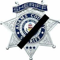 Profile Picture of Jared Lombardi (@jaredlombardi) on Pinterest