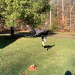 Profile Picture of Brent Rollo (@brent.rollo) on Instagram