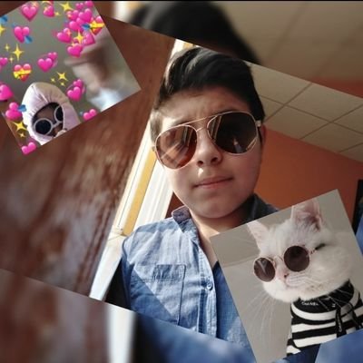 Profile Picture of Steven Gael Alcala Sanchez (@StevenGaelAlca2) on Twitter