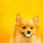 Profile Picture of Rita Mclaughlin (@rita.mclaughlin.12) on Instagram