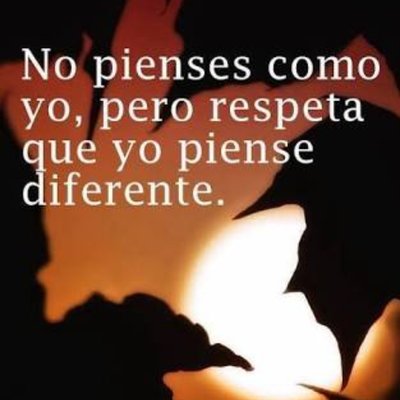Profile Picture of Luis Cañedo (@luiscanedo773) on Twitter