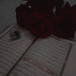 Profile Picture of Rami Mohammed (@Rami-Mohammed) on Facebook