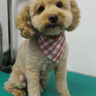 Profile Picture of 劉耀斌 (@bun.lau.509) on Facebook