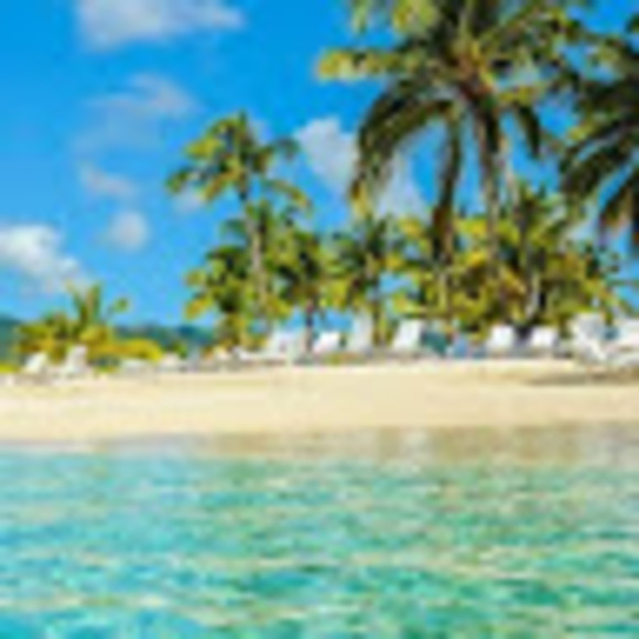 Profile Picture of Andy Feroze (@andyferoze0818) on Poshmark