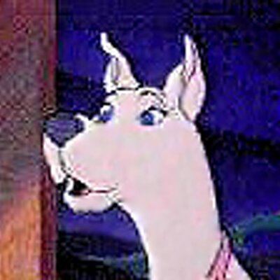 Profile Picture of Ruby Doo (@RubsDoo) on Twitter