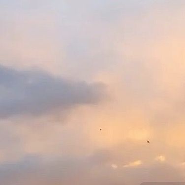 Profile Picture of vivian (@viviantat) on Tiktok