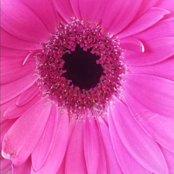 Profile Picture of Janis Martin (@janisfm) on Poshmark