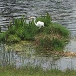 Profile Picture of Nancy Tavolacci (@nancytavo2019) on Instagram