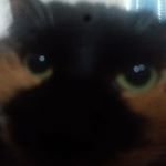 Tim - Instagram Profile Picture of Tim (@tim.karsten) on Instagram