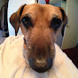 Profile Picture of Tami Pearson (@@Tpearson63) on Tiktok