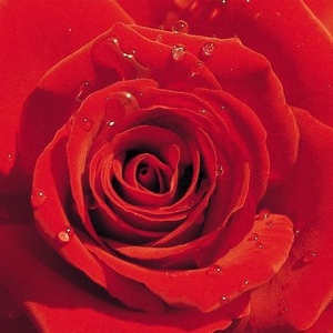 Profile Picture of Mary Pecoraro (@208517700) on Myspace