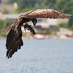 Profile Picture of Teresa Dumas (@teresa marie photography) on Flickr