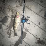 Brandon Keiser - Facebook Profile Picture of Brandon Keiser (@Brandon-Keiser) on Facebook