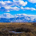 Philip Collins - Instagram Profile Picture of Philip Collins (@wyophilly) on Instagram