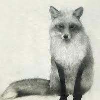 Profile Picture of David Anthony Schuch (@DavidAnthonySch) on Twitter