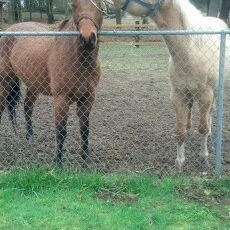 Andrea Jacobs Stewart - Pinterest Profile Picture of Andrea Jacobs Stewart (@andiestm) on Pinterest