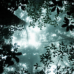 Profile Picture of williamyu1988 (@williamyu1988) on Flickr