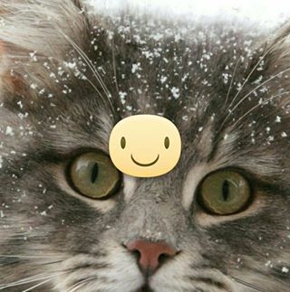 Profile Picture of Leon Swientek (@leon.swientek.7) on Facebook