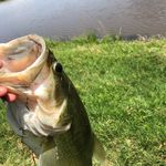 Profile Picture of Hunter Harper (@hunter_harper2004) on Instagram