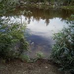 Profile Picture of Carrie Foster (@caignacio) on Instagram