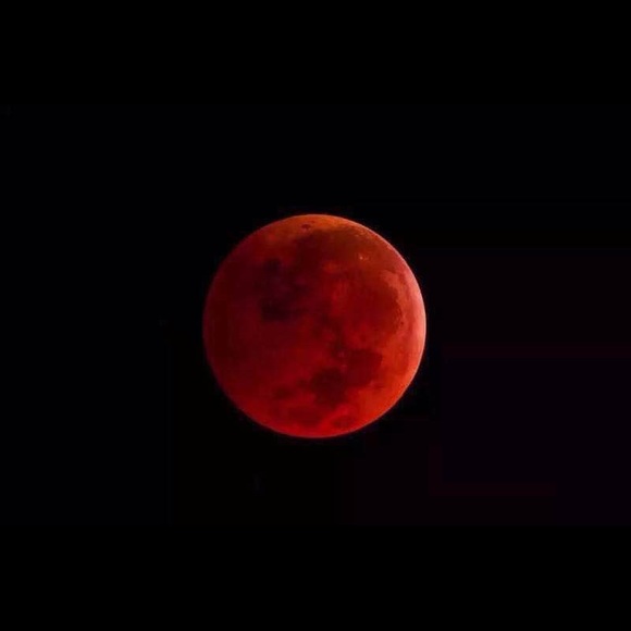 Tony Wang - Poshmark Profile Picture of Tony Wang (@tonyluwang) on Poshmark