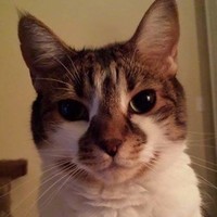 Profile Picture of Blake Hutchison (@blake-hutchison-3) on Quora