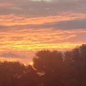 Profile Picture of Ginger Rodriguez (@ginger1724) on Youtube