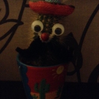 Profile Picture of Joe Davey (@joedavey12) on Twitter