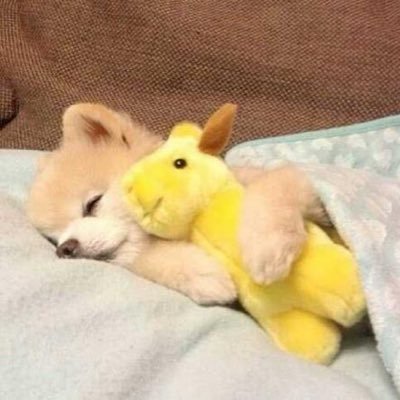 Profile Picture of Jessica (@JessicaMar95) on Twitter