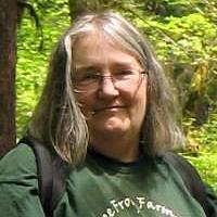 Profile Picture of Nancy Ging (@NancyGingArt) on Twitter