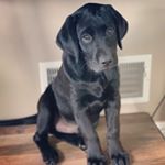 Buford Beaux Phillips - Instagram Profile Picture of Buford Beaux Phillips (@bufordbeaux) on Instagram