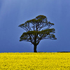 Profile Picture of Andrew Barwick (@natworld50 thanks for   2.6 million views) on Flickr