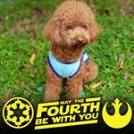 Profile Picture of William Chee (@william.chee.7543) on Instagram