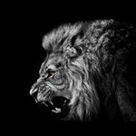 《Paul》 - Instagram Profile Picture of 《Paul》 (@paulreimann_) on Instagram