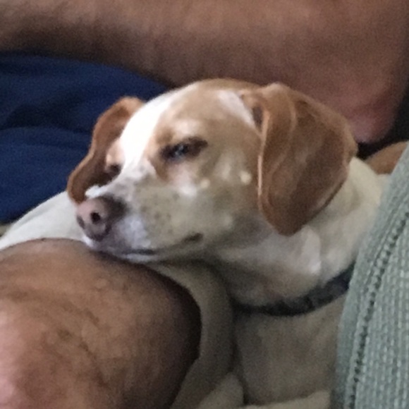 Profile Picture of Leslie Kirkendall (@knitmama) on Poshmark