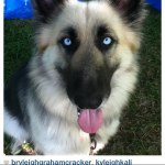 Profile Picture of Kyleigh Graham (@kyleigh_kali_321) on Instagram