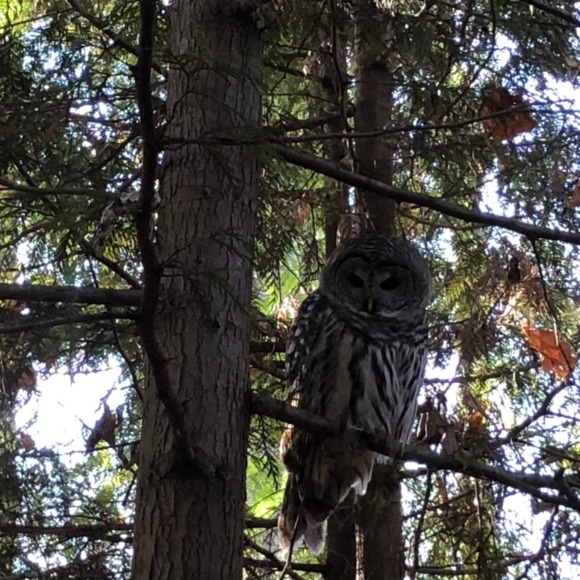 Profile Picture of Michael & aubrey Puckett (@watercolor_fl) on Poshmark