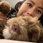 Profile Picture of Cindy Yang Field (@cindydude) on Instagram