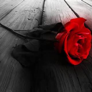 Profile Picture of Jocelyn Morgenstern (@Jocelyn-Morgenstern) on Facebook